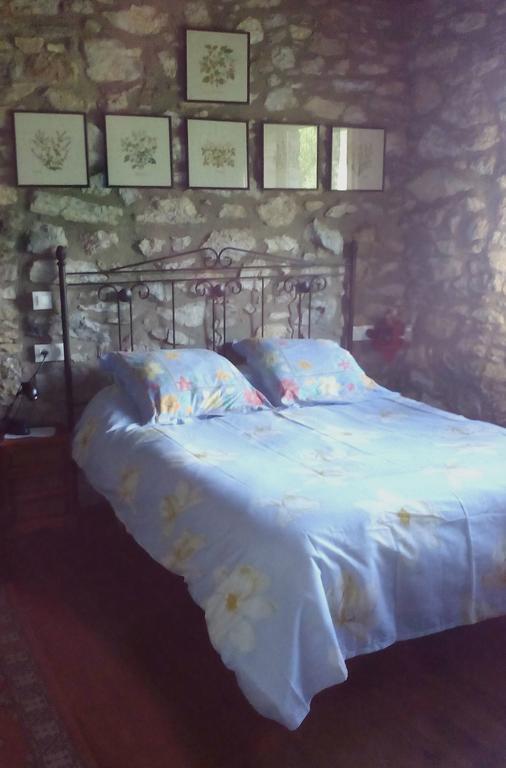 Al Pirineu Chalet